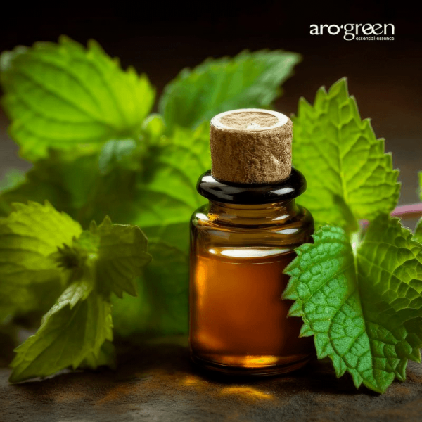 Destilación Molecular: Cómo mejorar la esencia del aceite de patchouli