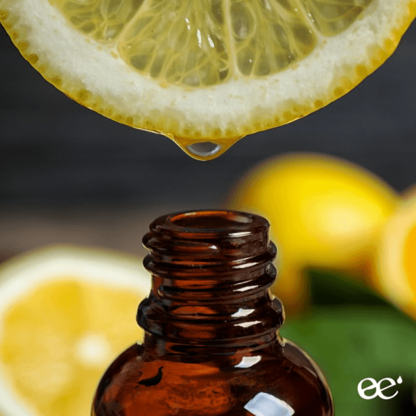 Concentrated lemon oil: An ideal ingredient for aromas