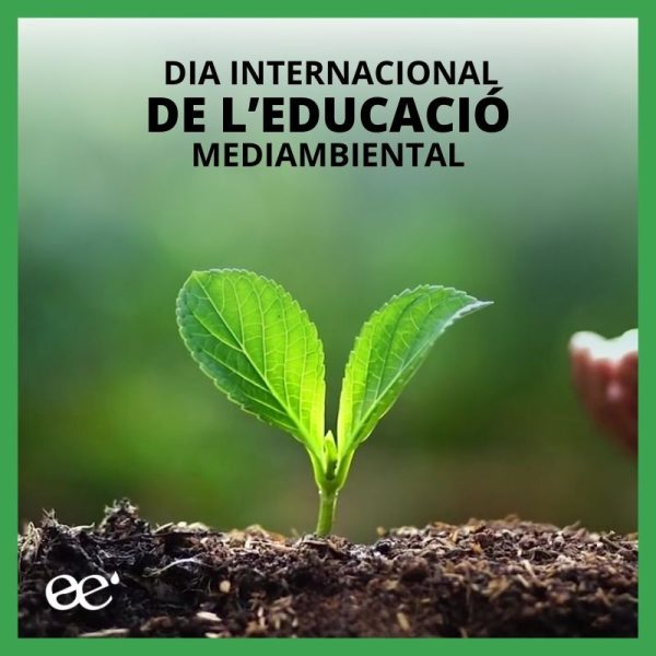 Día Internacional de la Educación Medioambiental