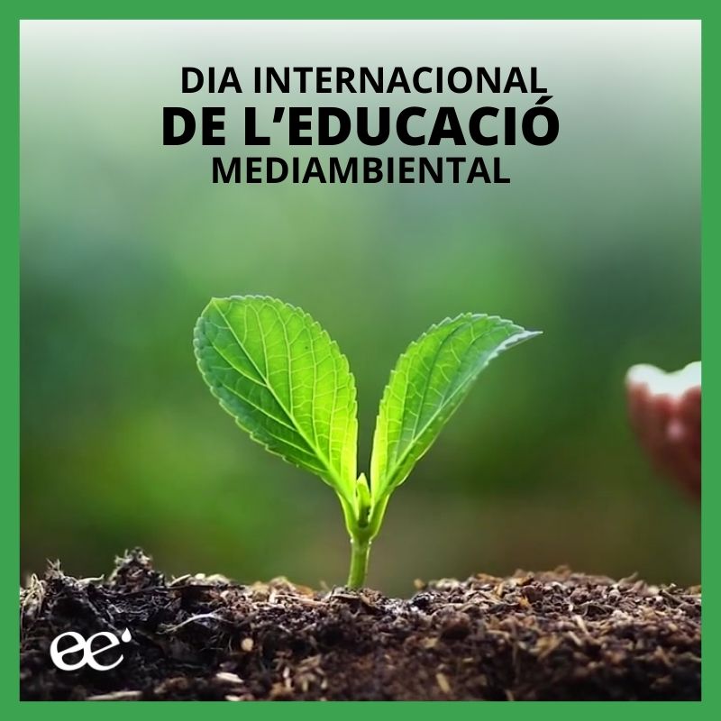 Dia internacional de l'educació mediambiental